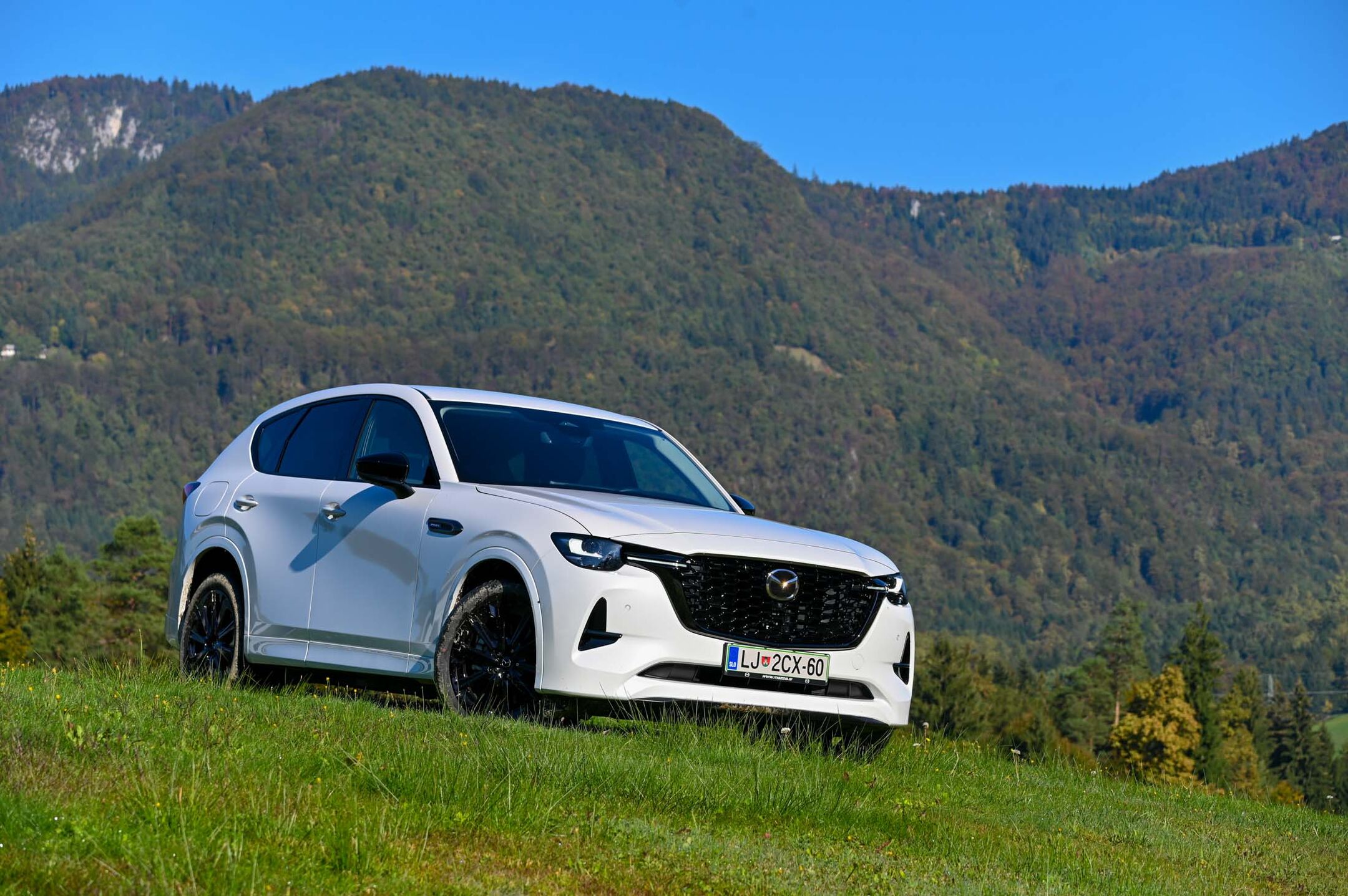 Test: Mazda CX-60 E-skyactiv PHEV Homura AWD | AMZS